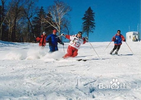 【圣诞】圣诞进行时