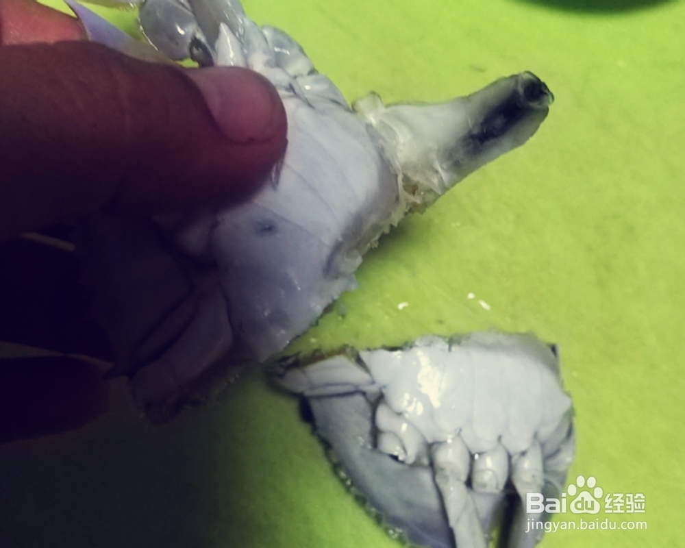 吃光光的梭子蟹