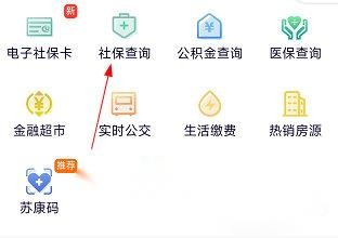 我的扬州怎么查不到社保