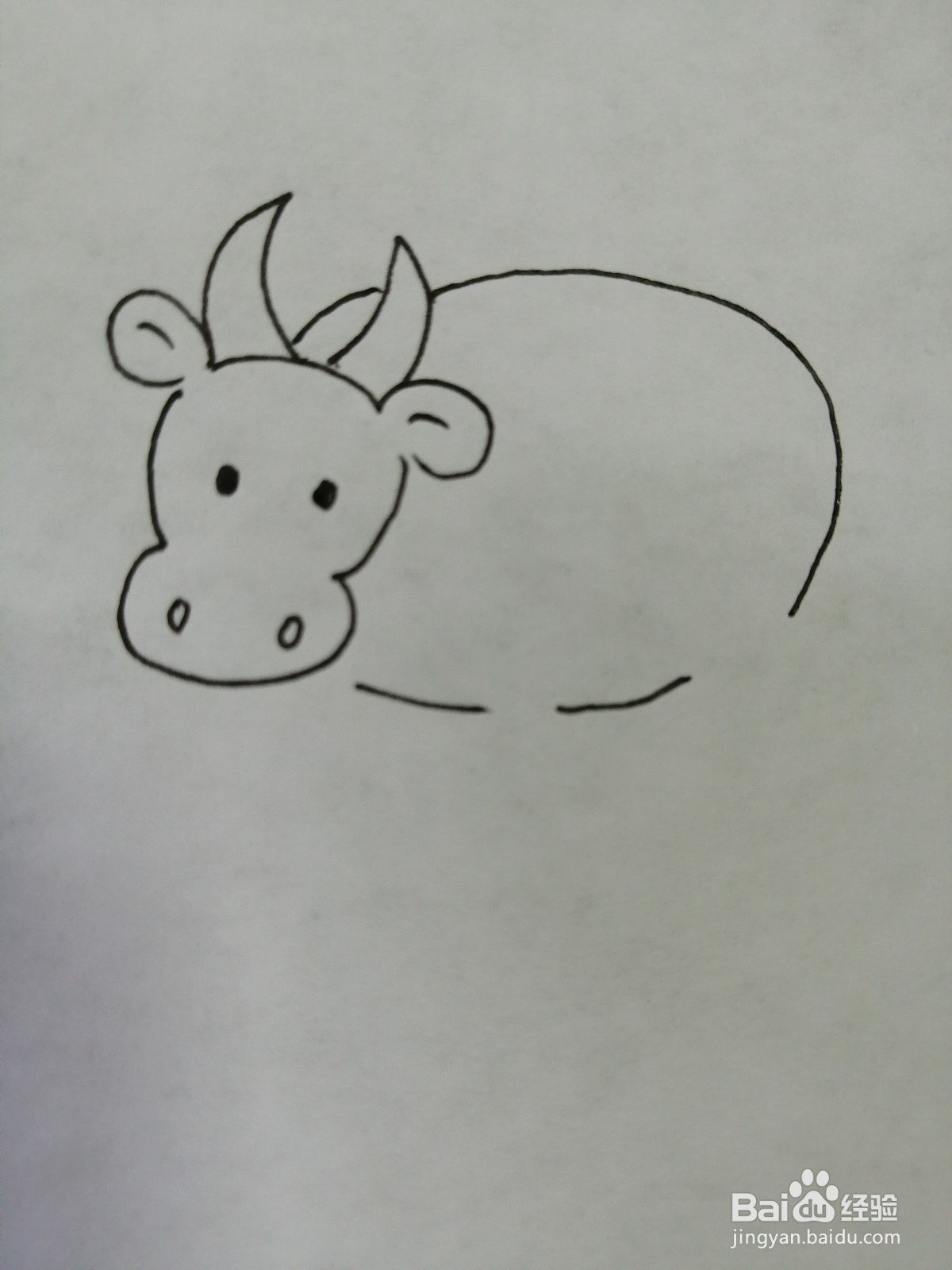 可爱的小牛怎么画