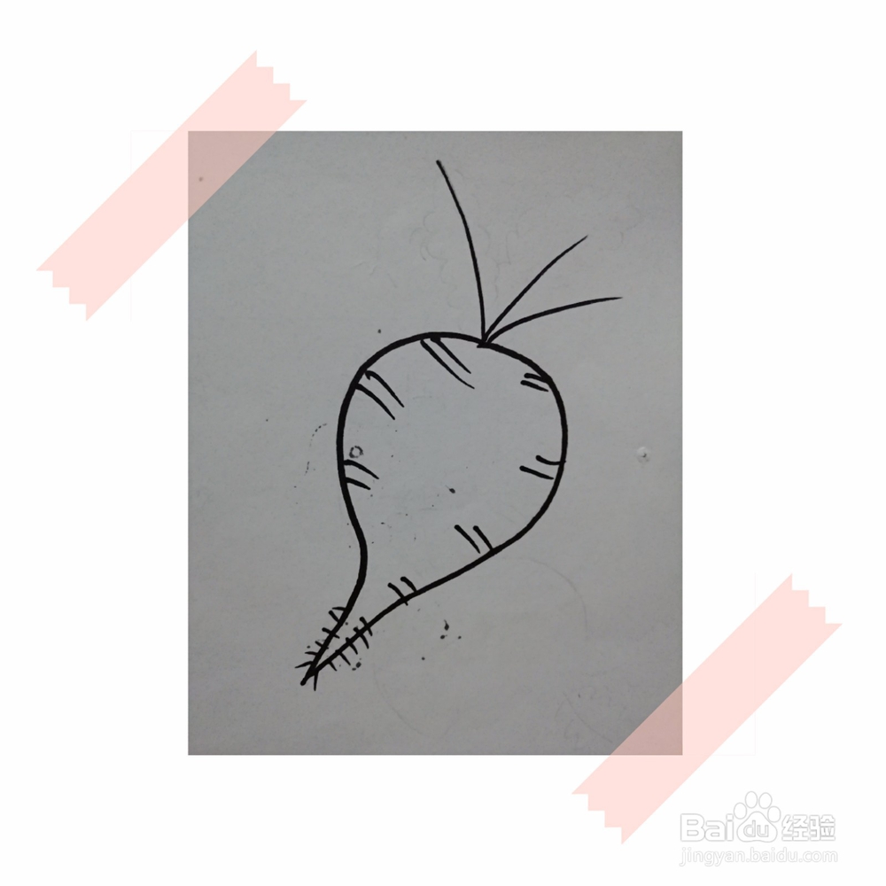 儿童简笔画教程画萝卜