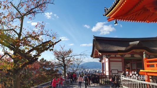 京都游玩全攻略