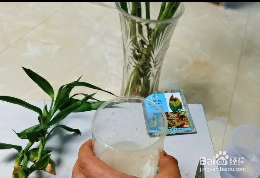 花根部腐烂怎么办