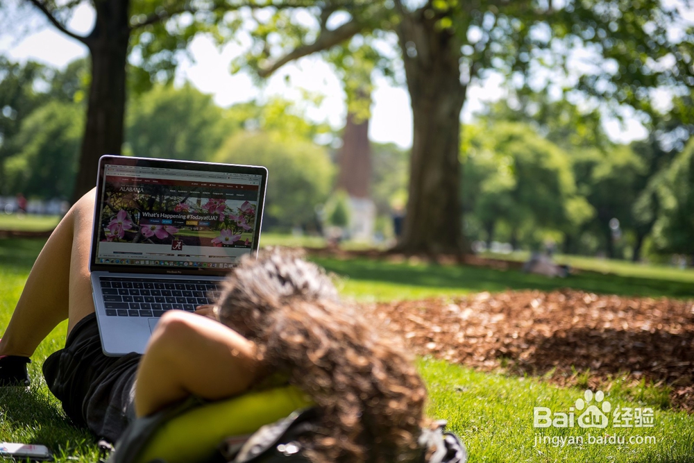 阿拉巴马大学可以报哪些专业？