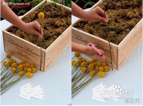 DIY木箱里的花海