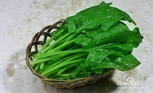 春季吃点什么应季菜来养生