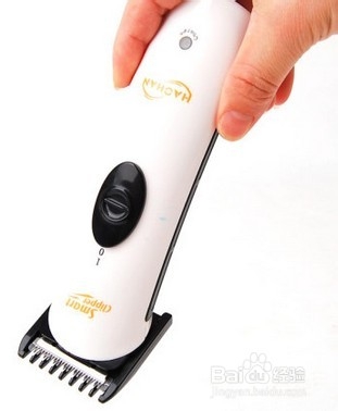 脱毛器与剃毛器有什么区别