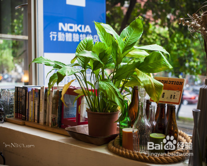 【台湾探店】复古混搭空间邂逅百变萌喵，自然醒咖啡公寓