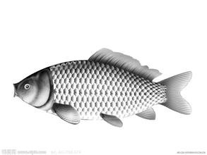 冰箱放什么食物会变质了