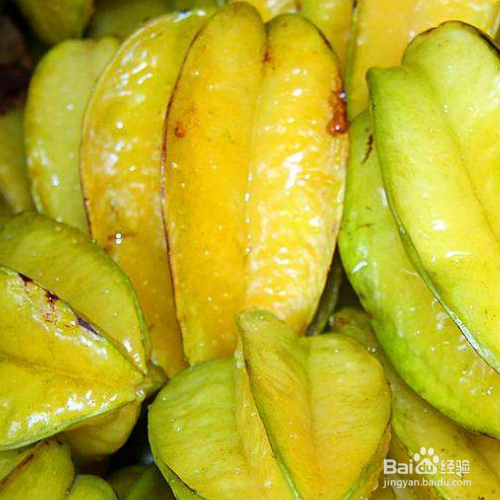 阳桃的培育方法和注意事项