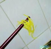 如何制作柚子茶