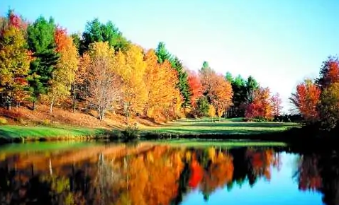 我最喜欢的季节是秋天,在这季节里什么什么也会咧嘴笑