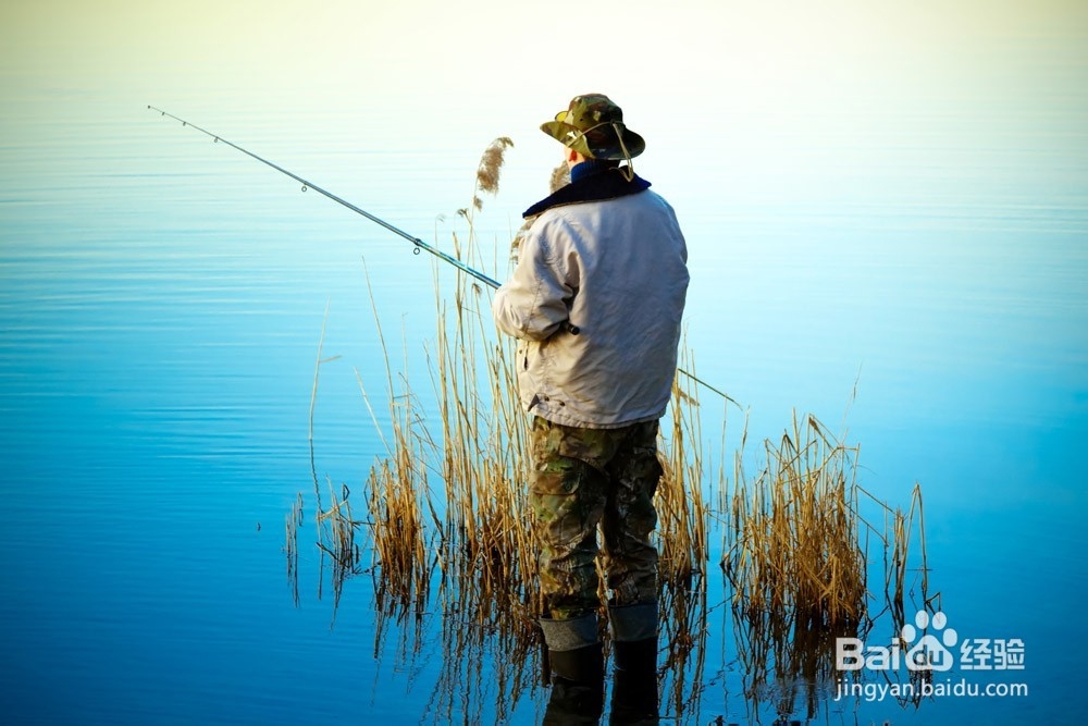 根据鱼的栖息和觅食习性选择钓位和钓点