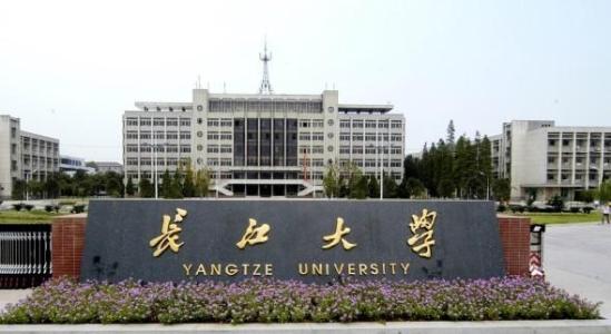 武汉有那些是二本医学院