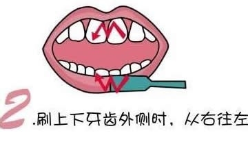 刷牙的方法图解