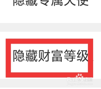闪恋APP怎样设置隐藏财富等级功能