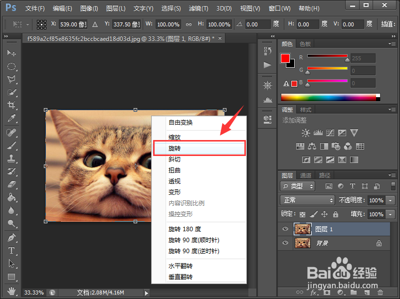 Photoshop cs6怎么旋转图片?