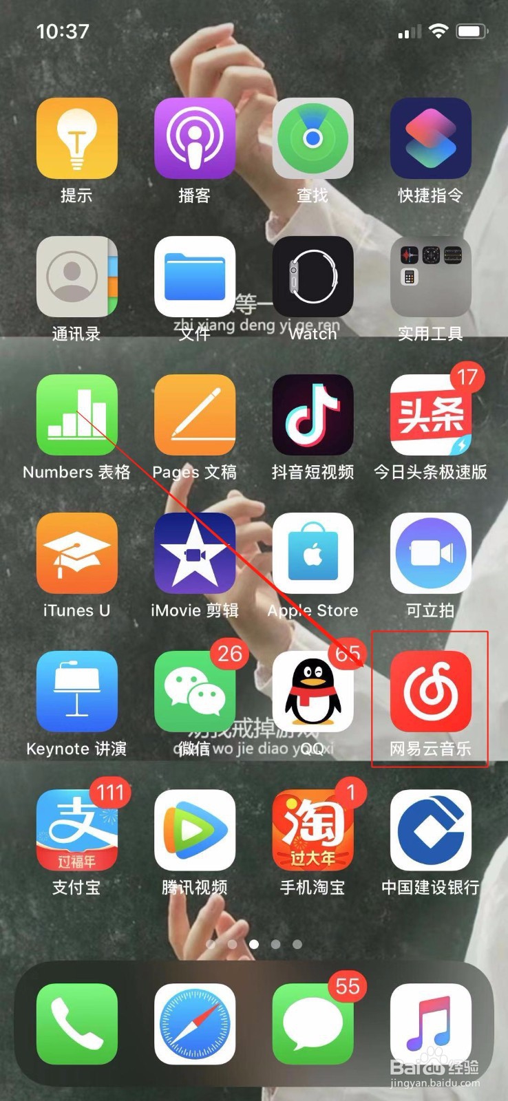网易云音乐怎么添加Siri捷径