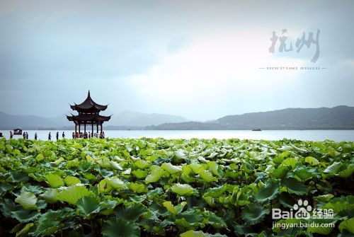 杭州有哪些旅游景点？哪些地方值得一去？