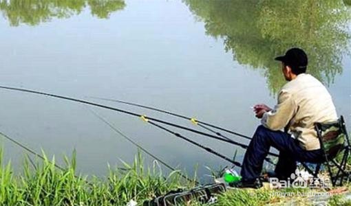 野钓中那些鱼有毒还有硬刺