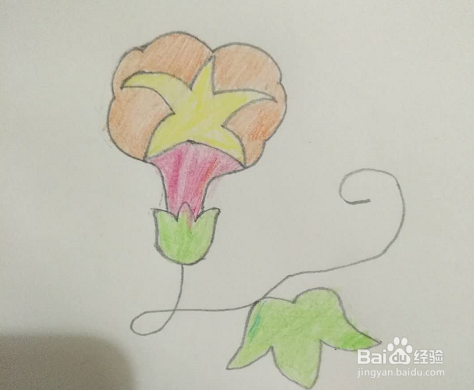 简笔画牵牛花怎么画？