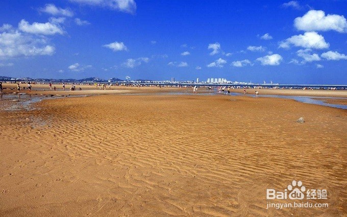 鸽子窝旅游攻略