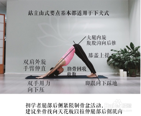 9个瑜伽体式的正位笔记 原来自己错了这么多