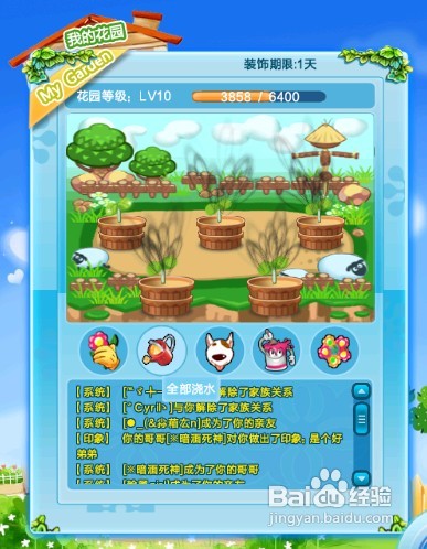QQ炫舞G币花园花朵一览