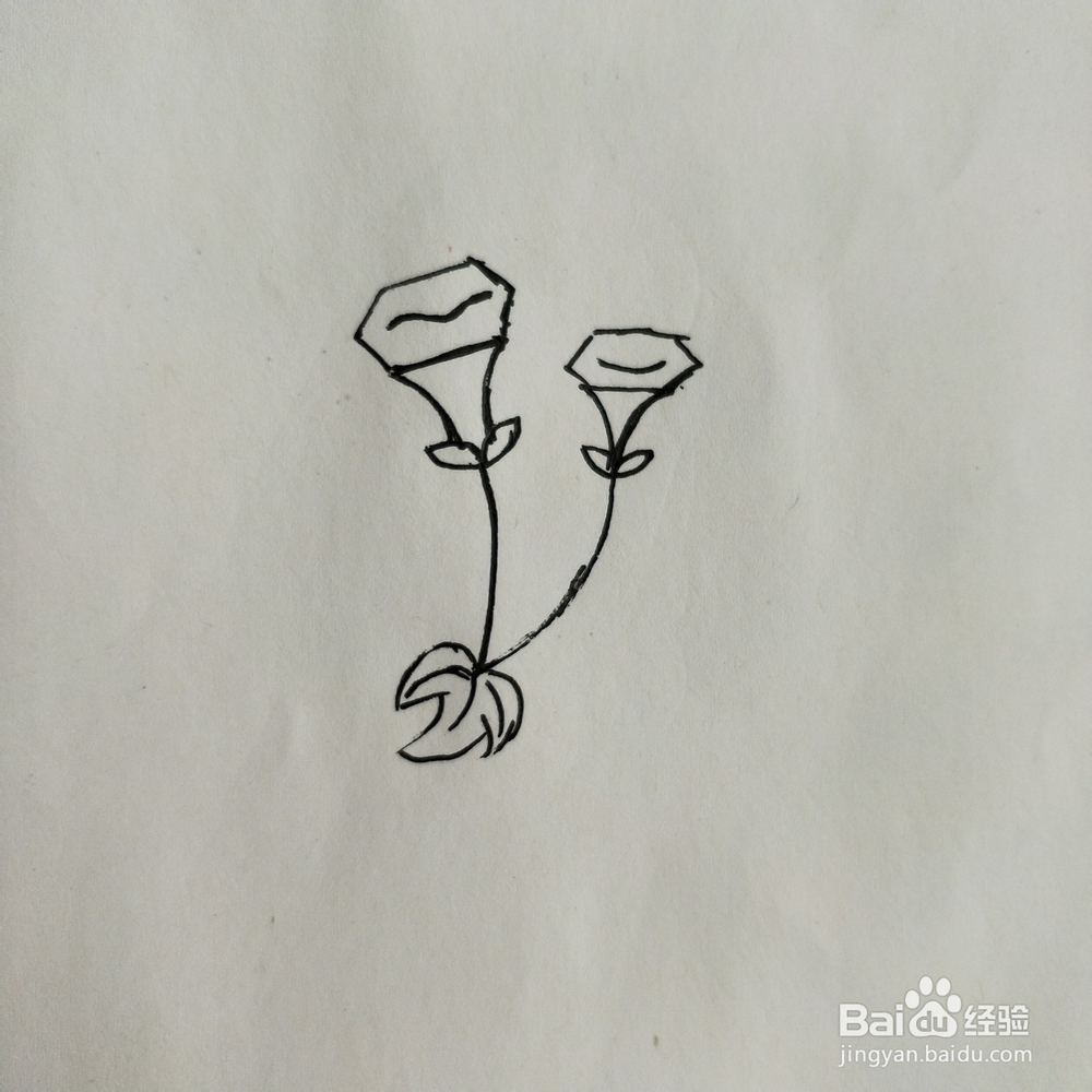 手掌简笔画素材:花卉类的简笔画系列