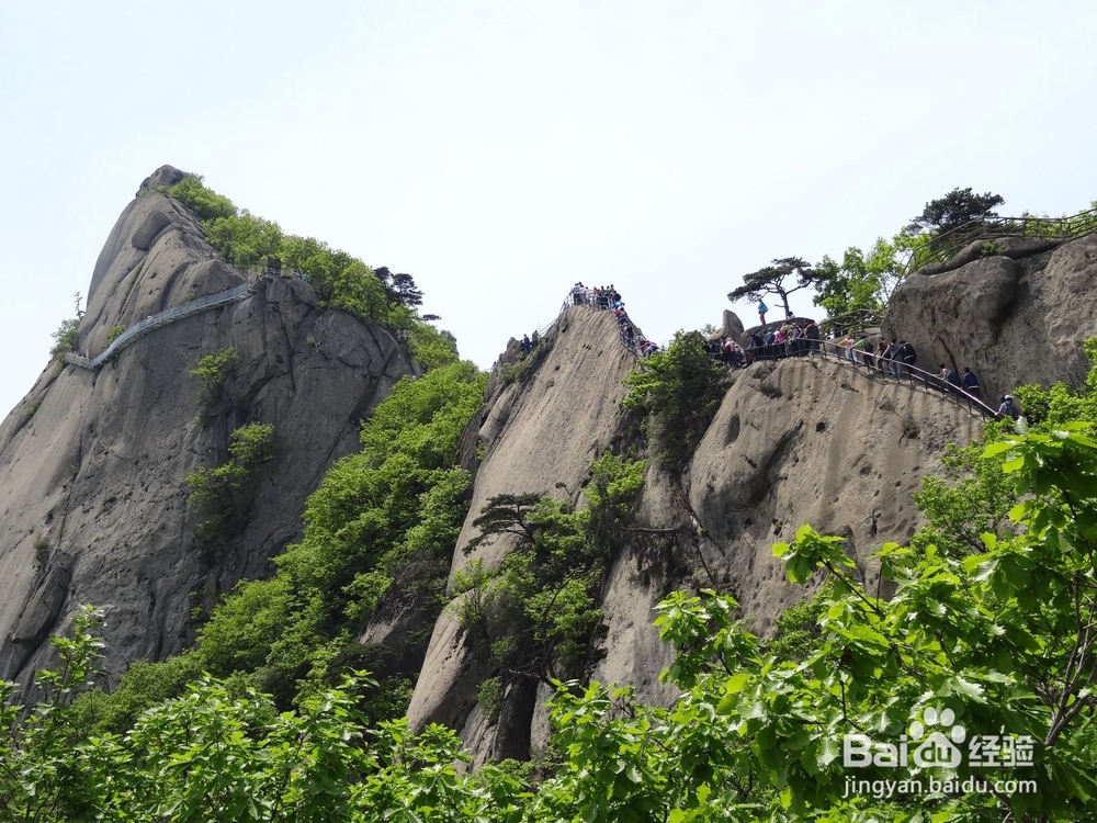 如此规划年度旅游计划