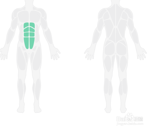 五维腹肌训练计划第三天