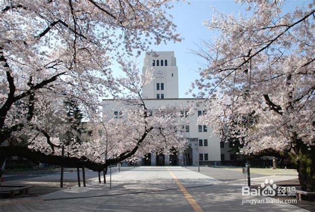 高中毕业生去日本留学的途径