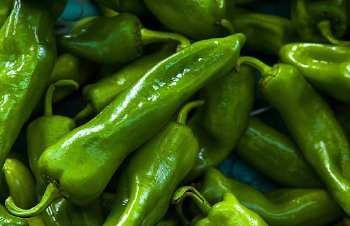 炒茄子丝怎么弄?