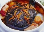 炖甲鱼怎么做