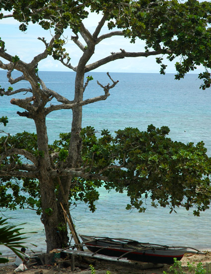 菲律宾旅游攻略之海上珍珠宿雾岛