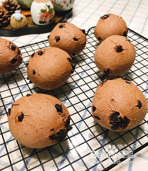 越嚼越好吃的恐龙蛋