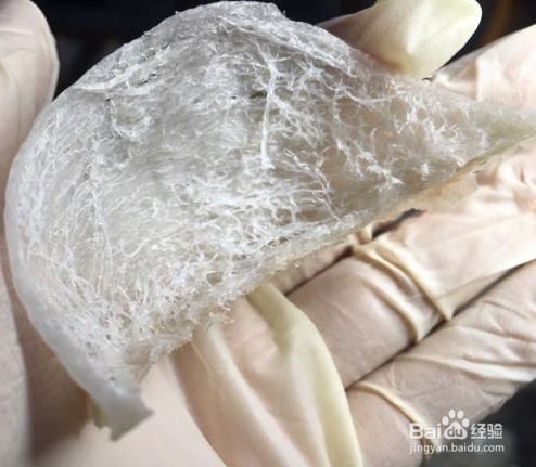 中国燕窝市场的发展史