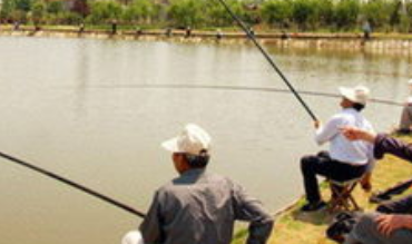 钓鱼基础入门教程