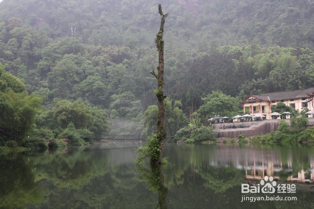 新春推荐四川峨眉山旅游攻略