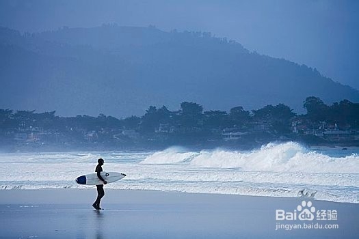 冲浪时遇鲨鱼怎么自救