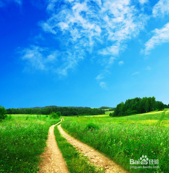 如何科学的散步？