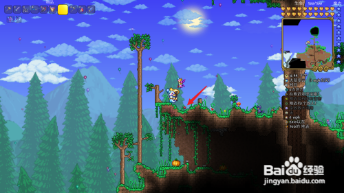 泰拉瑞亚怎么获得臭虫