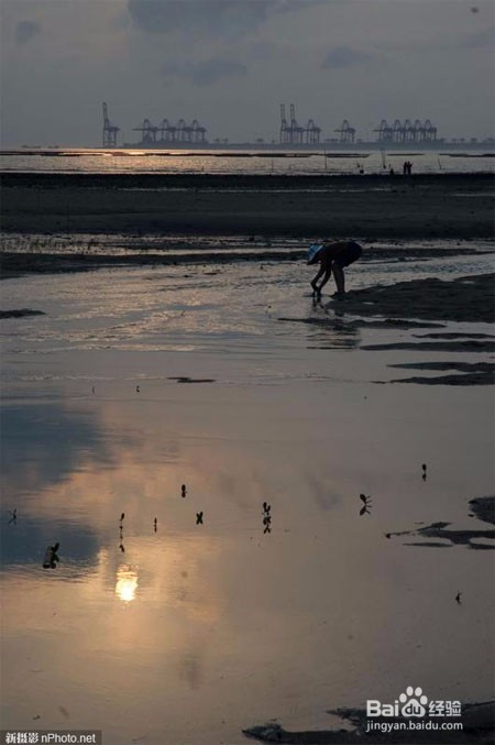 如何使用PS拉曲线,调整对比度、亮度及色调