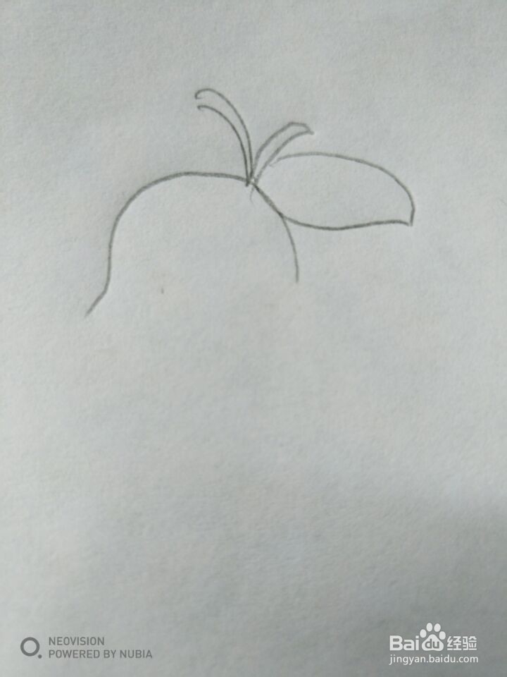 简单的梨子怎么画(五)
