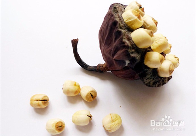 莲子的功效及饮食禁忌