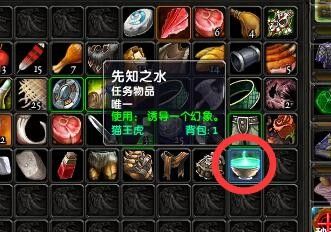 魔兽(怀旧攻略)幻象仪祭任务中先知之水怎么用
