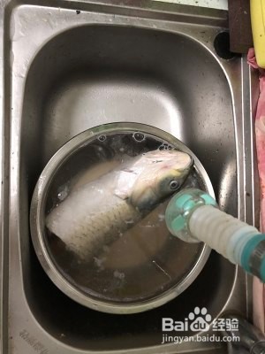 油泼鲤鱼的做法