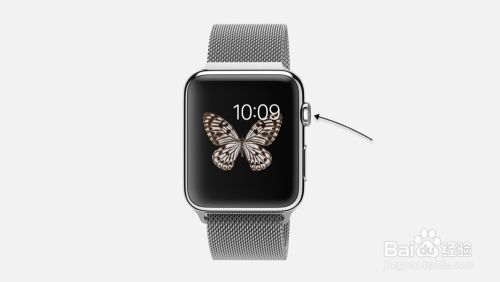 苹果手表apple Watch怎么看容量大小 百度经验