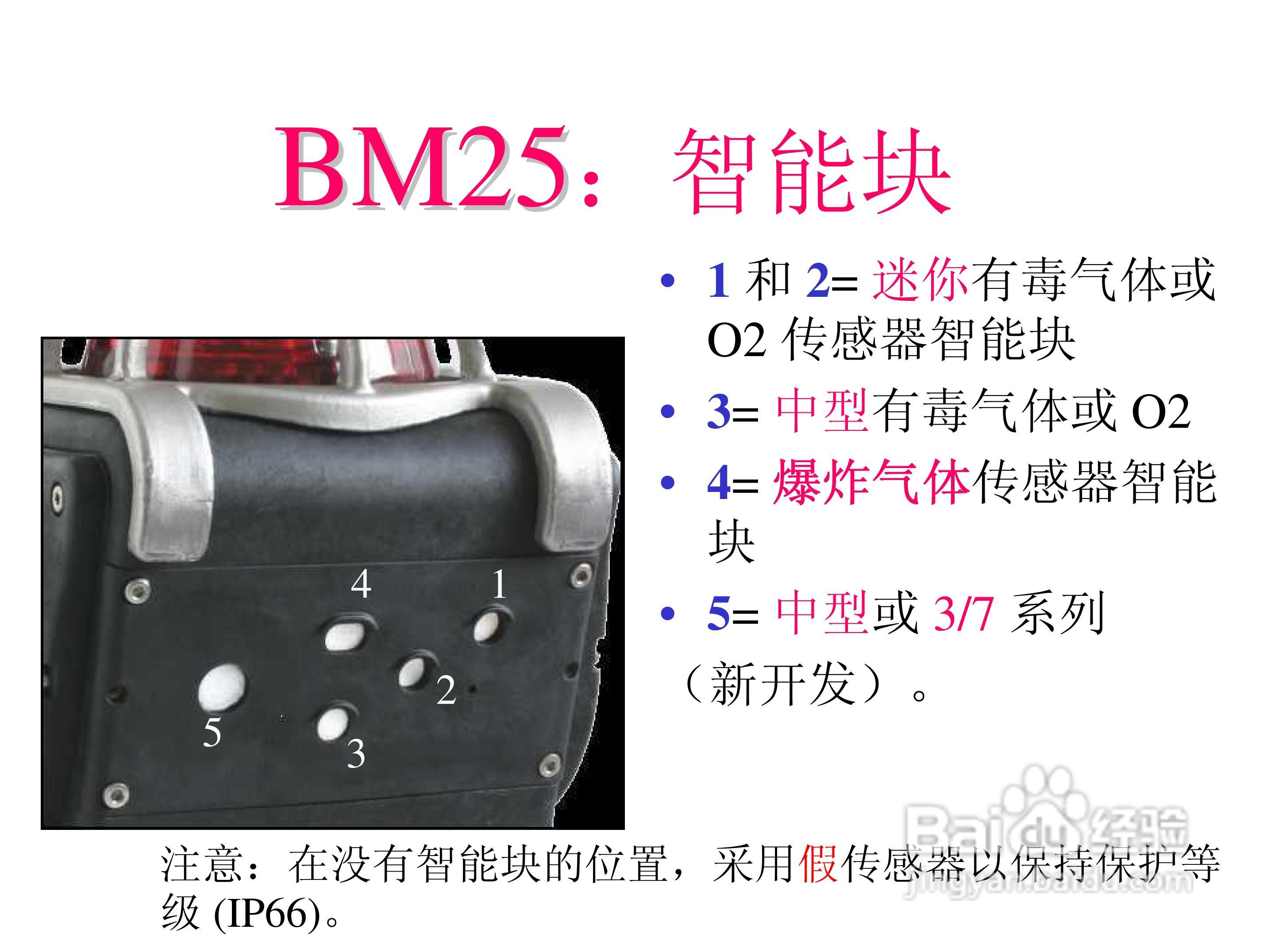 BM25便携式独立多气体检测仪说明书:[2]
