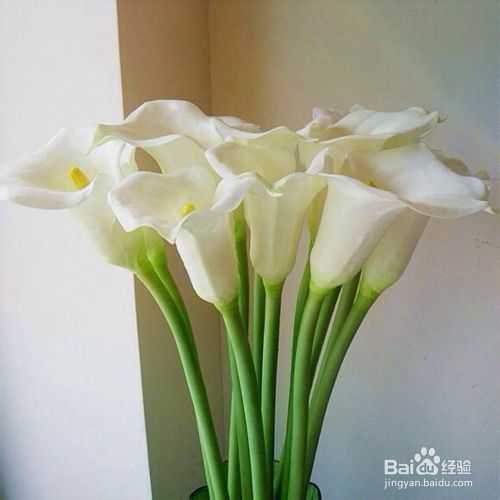 花栖花艺小原流花意匠 立式如何插花 百度经验